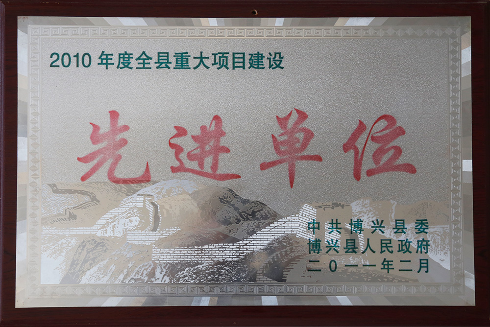 2010年度全縣重大項(xiàng)目建設(shè) 先進(jìn)單位