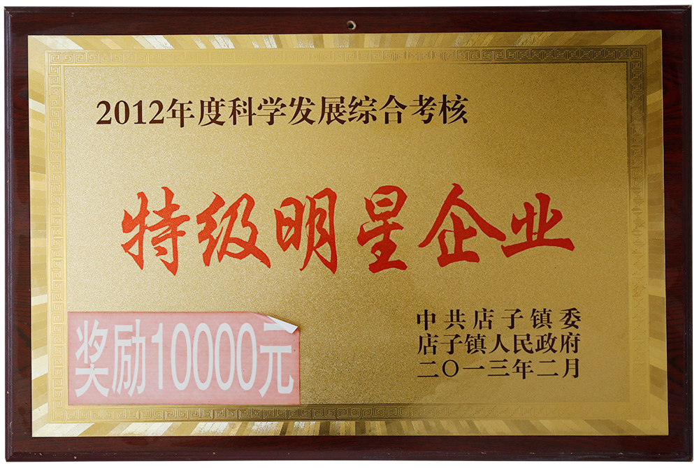 2012年度科學(xué)發(fā)展綜合考核 特級(jí)明星企業(yè)